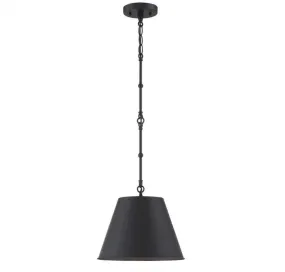 Alden 1 Light Black Pendant