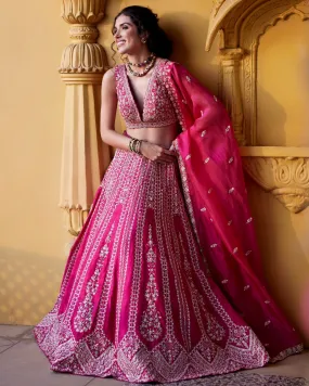 Devi Lehenga Set