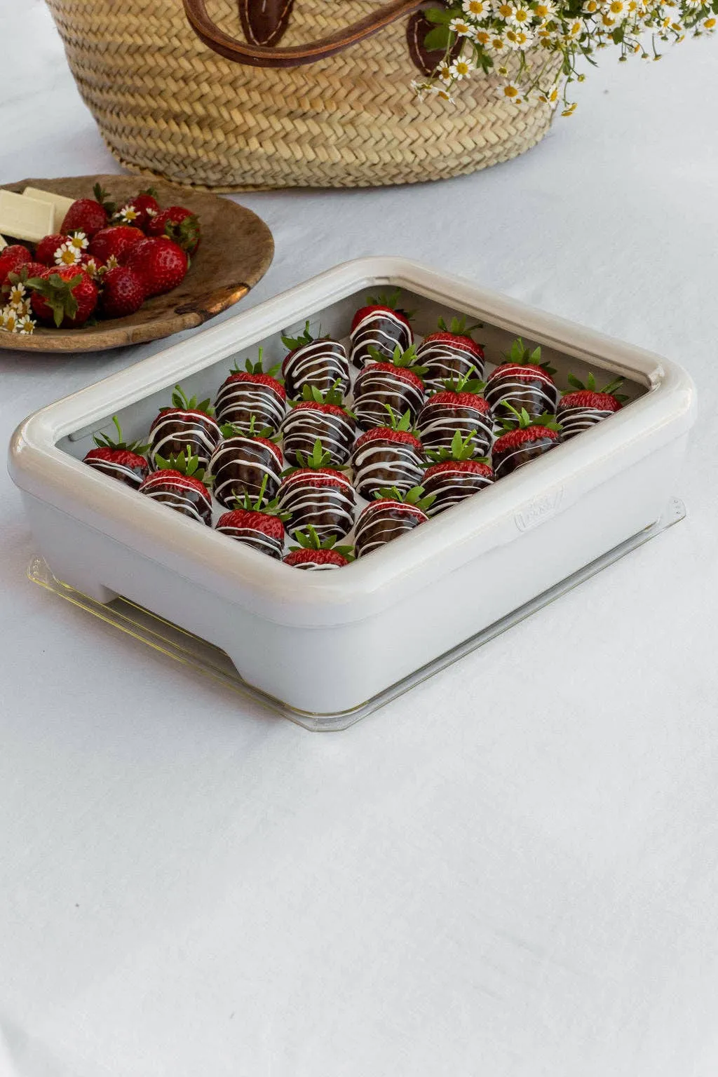 Deviled Egg Tray Insert