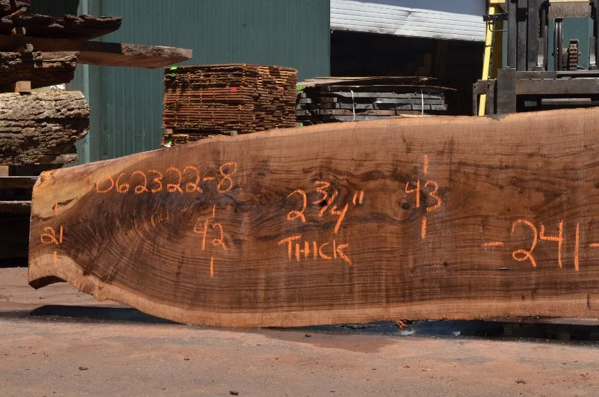 Oregon Black Walnut Slab 062322-08