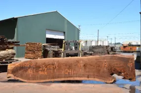 Oregon Black Walnut Slab 062322-08