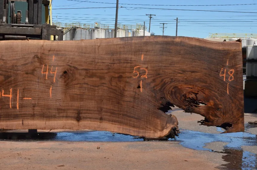 Oregon Black Walnut Slab 062322-08