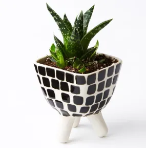 Tile Footed Mini Planter